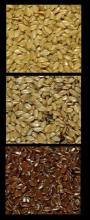 Taste differences between golden brown organic flaxseed, golden vs brown flax seed