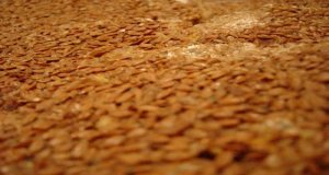 Flax benefits, flaxseed benefits, benefits of flax, benefits of flaxseed