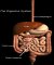 Flax benefits, flaxseed benefits, benefits of flax, benefits of flaxseed