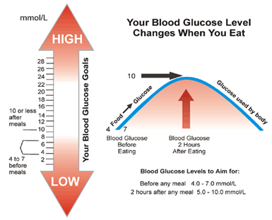 What is considered a high glucose level?