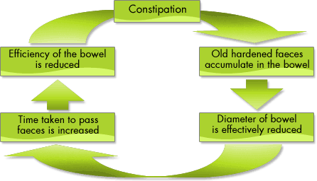 constipation and flaxseed, flaxseed for constipation, flax for constipation, constipation and flaxseed meal