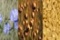 flax, flaxseed, healthy eating, barley, whole grain