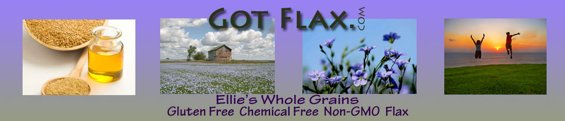 Flax seed, Flax Bread Recipe, Healthy Pet Tips, Flax for Constipation